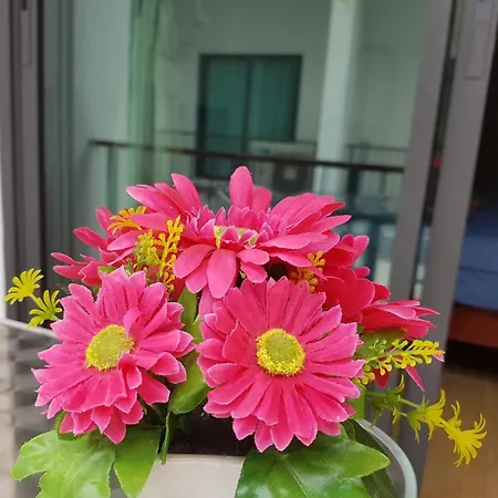 Amaretto Hostel-3